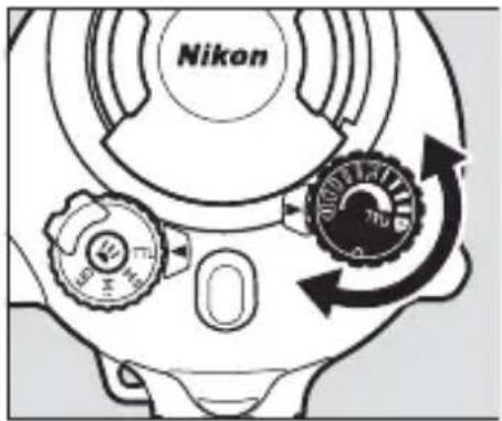 Nikon