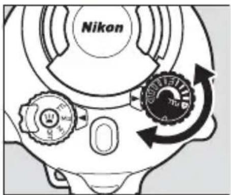 Nikon