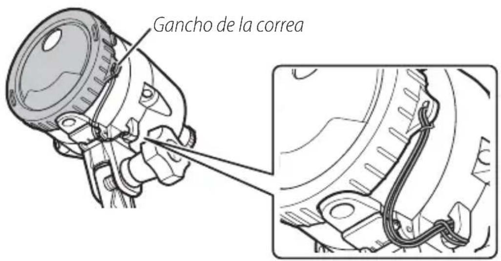 Gancho de la correa