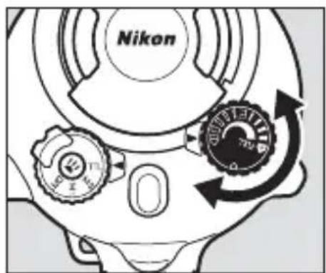 Nikon