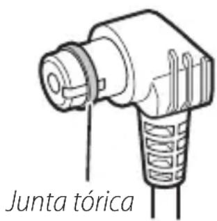 Junta tórica