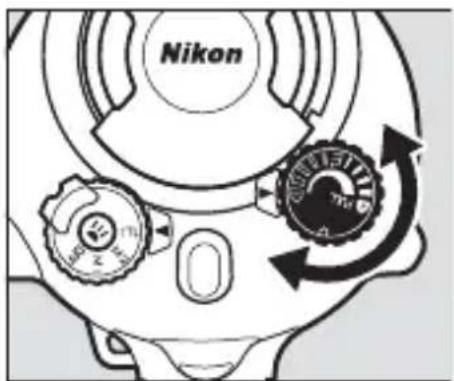 Nikon