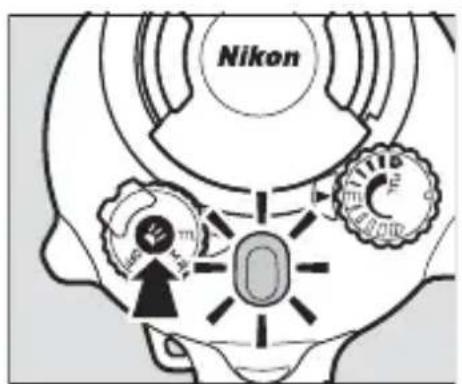 Nikon