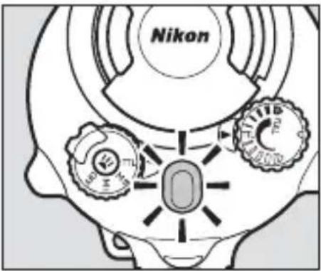 Nikon