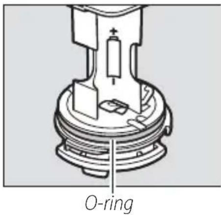 O-ring