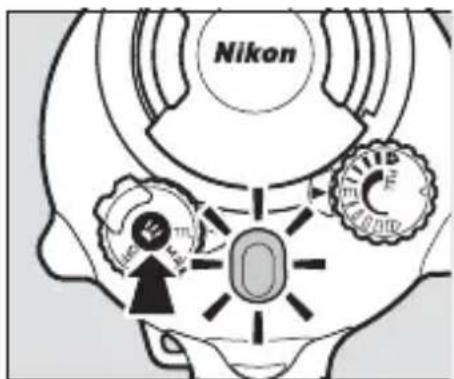 Nikon