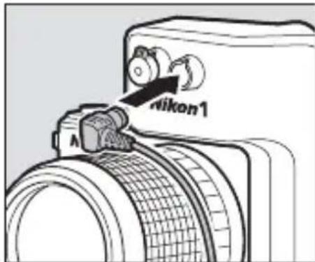 Aikon1