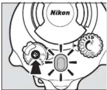 Nikon