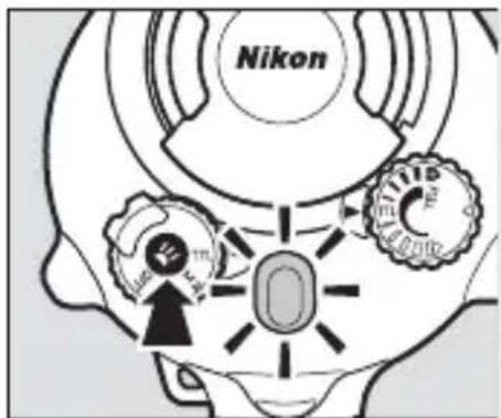 Nikon