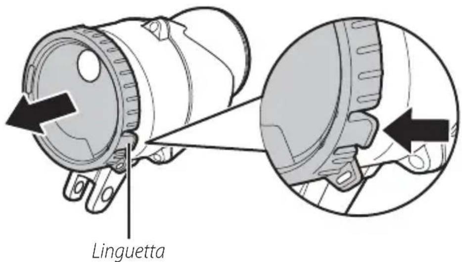 Linguetta