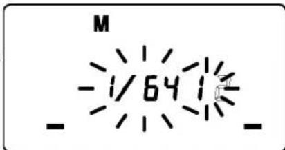 SIGMA EM140 DG Macro (Nikon) - LIMITS OF CONTINUOUS SHOOTING - 1