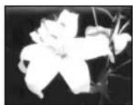 SONY DCRTRV40E - Verwendung der Spezialeffekte - Picture Effect - 2