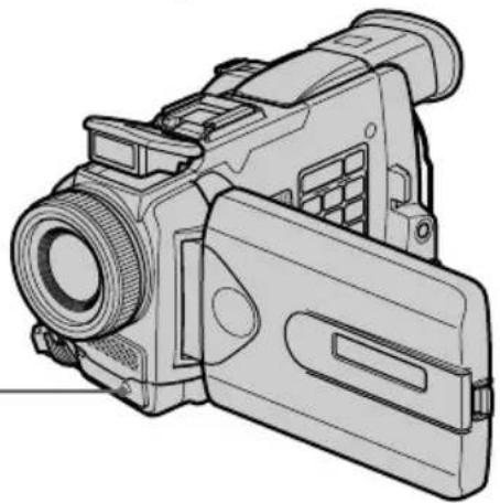 SONY DCRTRV40E - Prise de vue avec l'éclairage auxiliaire - HOLEGRAM AF - 1