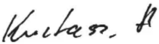 Simvalley XL947 - Konformitätserklarung - 1