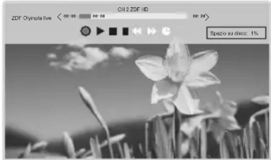 CHANGHONG LED40D1100ISX - -Registrazione Immediata - 1