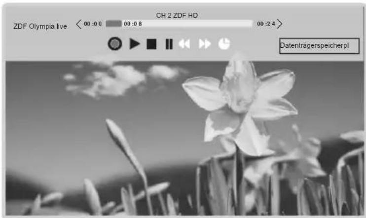 CHANGHONG LED40D1100ISX - Zeitversetzungsfunktion - 1