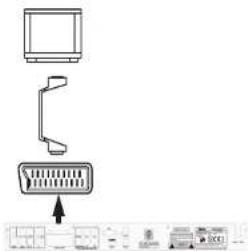 Tevion DVD 392 - Scart an TV - 1