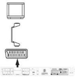 Tevion DVD 392 - Péritel sur le téléviseur - 1