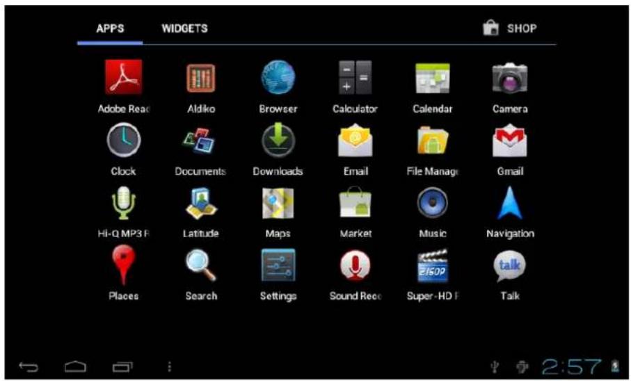 Leotec LPad Cosmos II LETAB805 - Main interface describe - 2