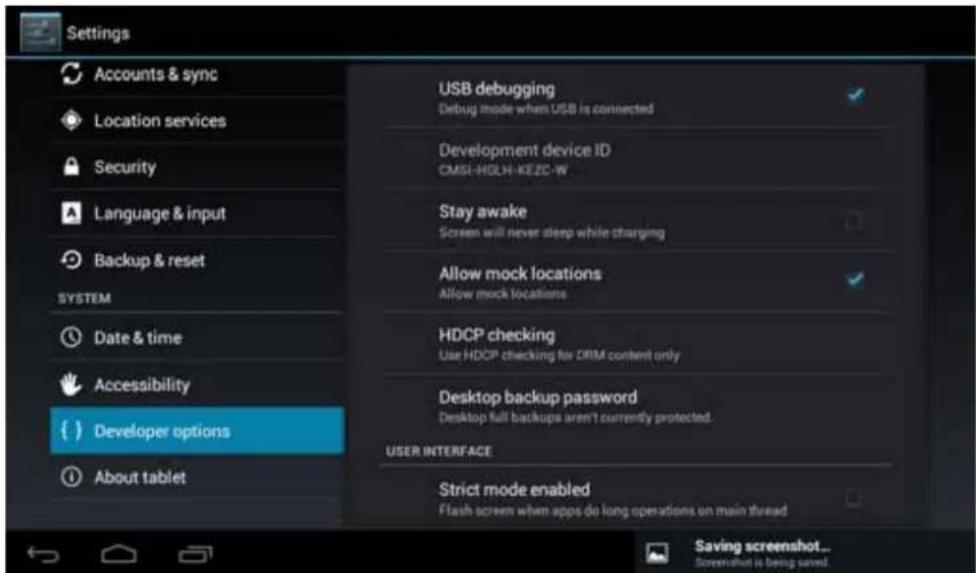 Leotec LPad Universe LETAB1003 - Development options: Options for developers. - 1