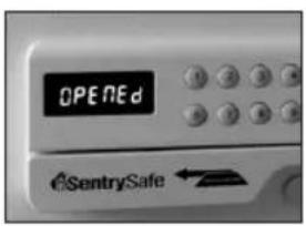Sentry H060ES - 2 - 1