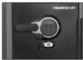 Sentry Electronic FireSafe SFW123GDF - ADVERTENCIA - 1