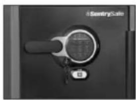 Sentry Electronic FireSafe SFW123GDF - AVERTISSEMENT - 1