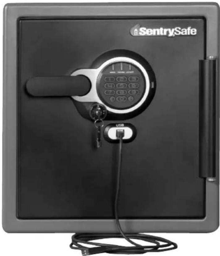Sentry Electronic FireSafe SFW123GDF - Fire-Safe - Conectado por USB Manual del Dueño - 1