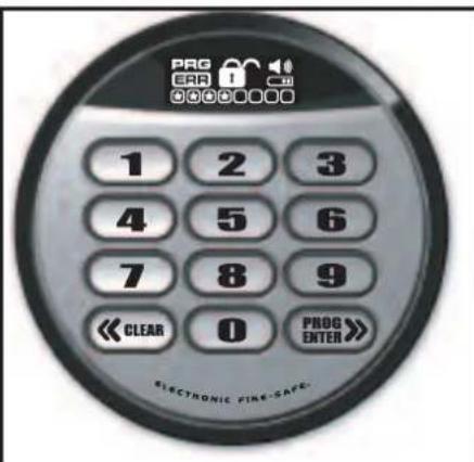SentrySafe MSW0809 - LCD - 1