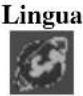 Emprex LM1541 - Impostazioni secondarie del menu - 18
