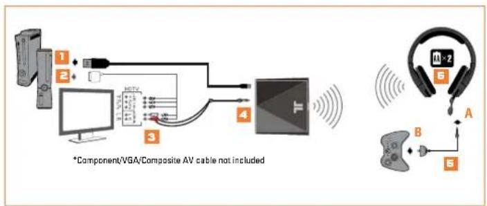 TRITTON Primer - ANALOG AUDIO SETUP - 1