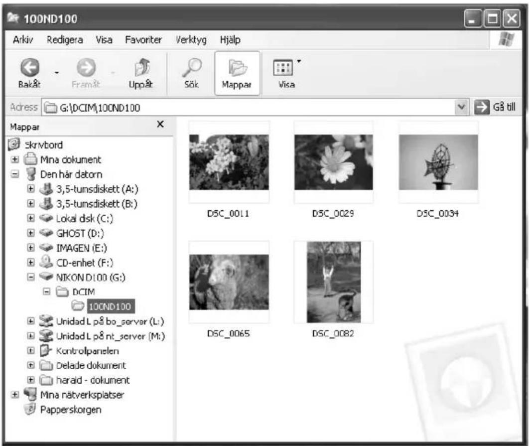TARGA Ultra AN64 4200 DC - Överörning och lagring av data på datorn - 1
