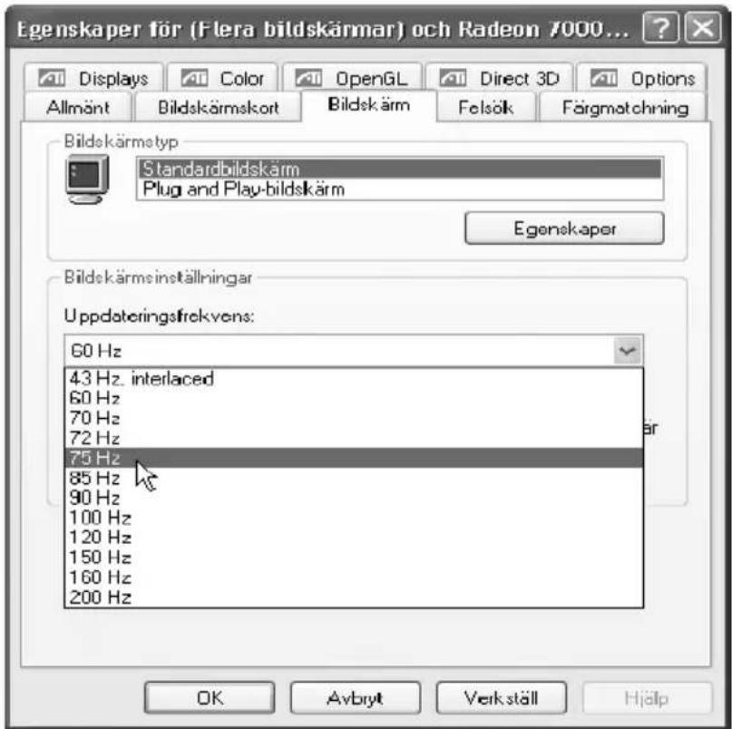 TARGA Ultra AN64 4200 DC - Konfiguration av din bildskärm och ditt bildskärmskort - 2