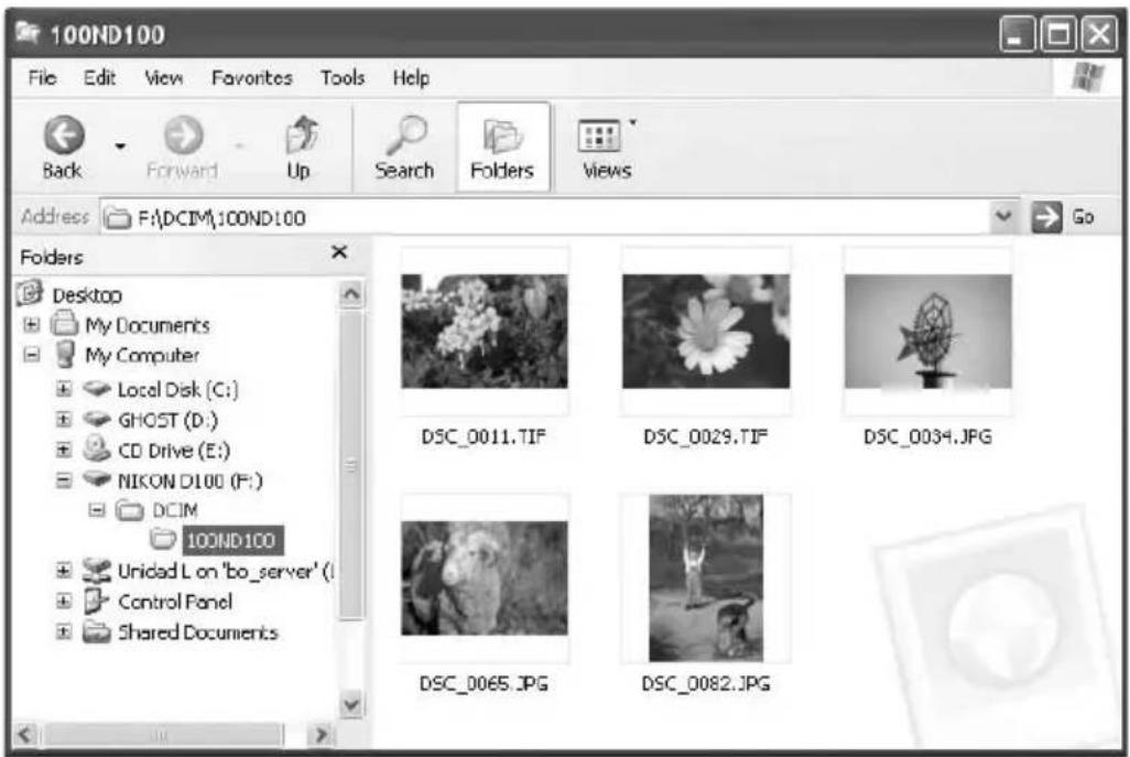 TARGA Ultra AN64 4200 DC - Transferring and Saving Data on the PC - 1