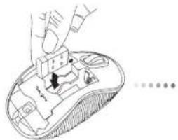 TARGUS AMW55EU - Targus Wireless Compact Laser Mouse - 1