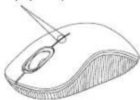 TARGUS AMW55EU - 1