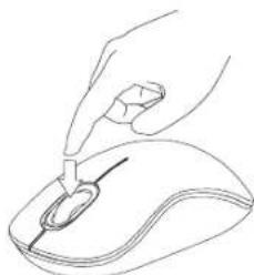 TARGUS AMW50EU - (Windows) - 1