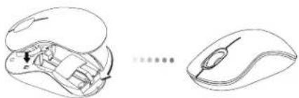 TARGUS AMW5011EU - Targus Wireless Bluetrace Mouse - 1