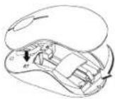 TARGUS AMW5011EU - Targus Wireless Bluetrace Mouse - 1