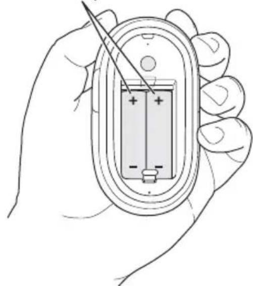 APPLE Wireless Mighty Mouse - De batterijen in uw muisplaatsen - 2