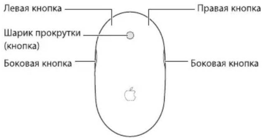 APPLE Wireless Mighty Mouse - Pa6ota cMbIbIO Mighty Mouse - 1