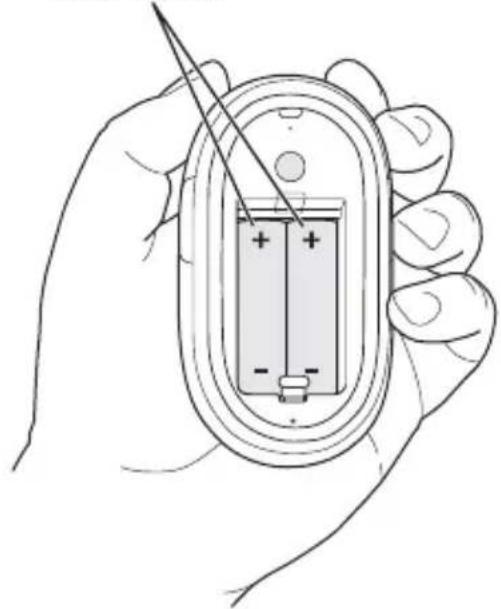 APPLE Wireless Mighty Mouse - Schritt 1: Installieren der Batterien - 2