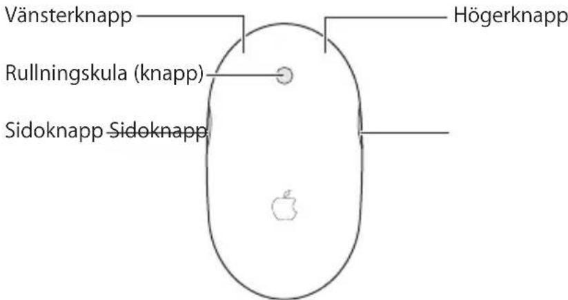 APPLE Wireless Mighty Mouse - Anvanda Mighty Mouse - 1