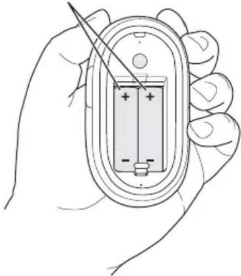 APPLE Wireless Mighty Mouse - Per installare le batterie nel mouse: - 2