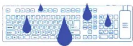 Seal Shield STM042RED - 4) Lavage au lave-vaiselles - 1