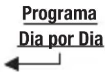 Seitron DCPA80BC - Programación - 1