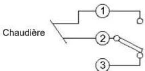 Orbis Mirus - CONNEXION - 1