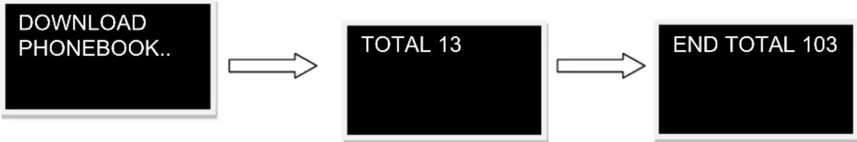 Pro-User APB120 - OUTGOING CALL.. 87652321 - 1
