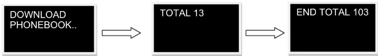 Pro-User APB120 - OUTGOING CALL.. 87652321 - 1