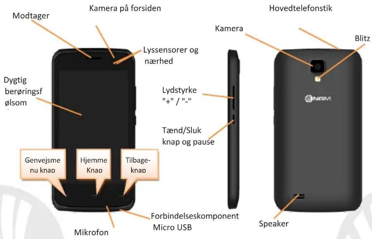 NGM Forward Run - 8DANSK - 3
